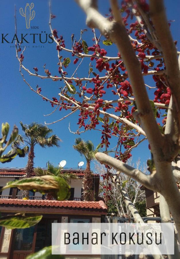 Kaktues Boutique Hotel Сиде Екстериор снимка